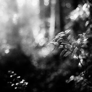 Iluminaciones (demo)