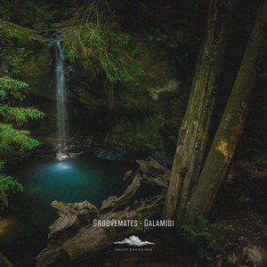 The Mission (Original Mix)