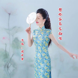 想你容易见面难