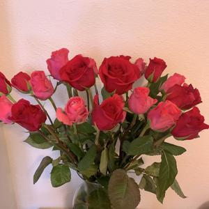 if i smile, i will see the roses（玫瑰留给快乐的人）