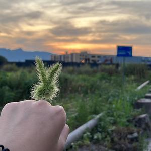 犯贱_20220720_161302