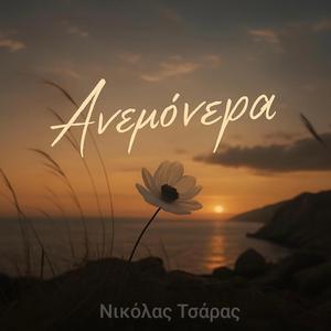 Ανεμόνειρα...