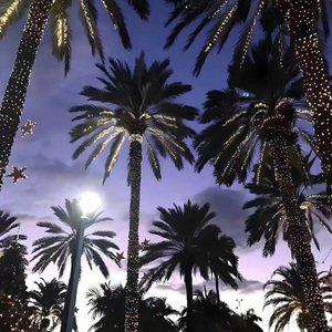 我只能离开(说唱版)