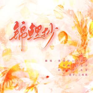 锦鲤抄