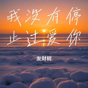我没有停止过爱你