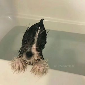 瘦子（女生版）