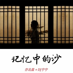 我的爱情它来的太晚了 (纯音乐)