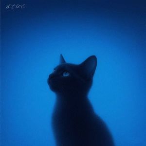 左转灯（1000 Times + 1）
