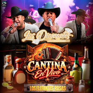 Los Elefantes Rosas (En Vivo)