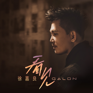 独见末年蜡炬残