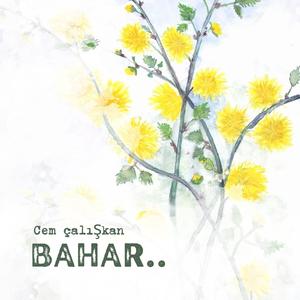 Bahar
