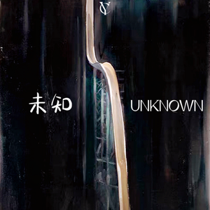 未知 UNKNOWN