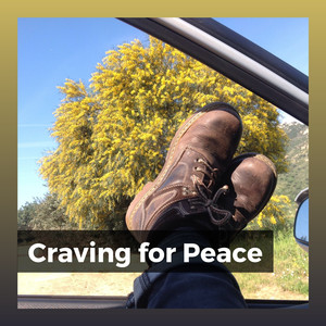 Lucid Dreams Ambient Sleeping Music, Pt. 29