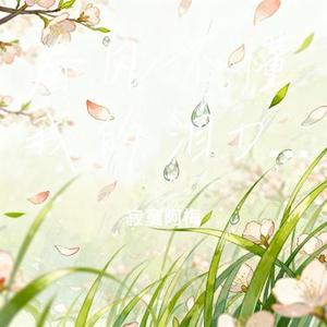 春风不懂我的泪DJ (Cover 袁小袁)