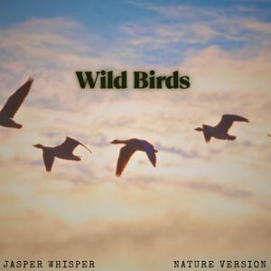 Wild Birds (Nature) (feat. Sensory Meditation, Alma Lin, Nina Nalo, Flame Timo & Randy Divine)