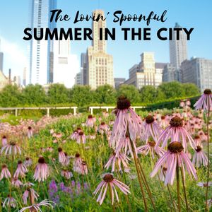 Summer in the City