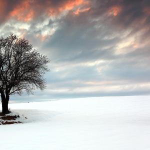轻抚你饱经风霜的脸庞