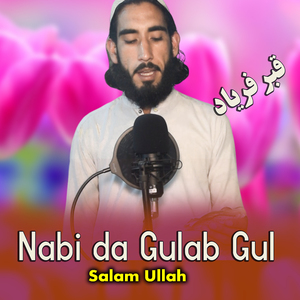 Nabi da Gulab Gul