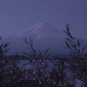 一起走到最后吧