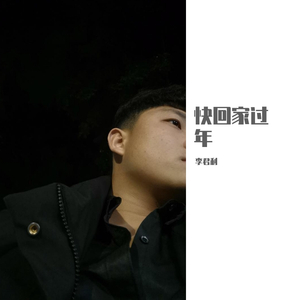 快回家过年