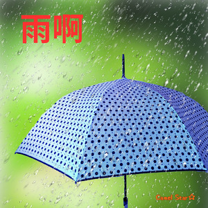 雨啊 (Remix)