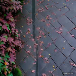 同济路上只有一片树叶飘着 (Prod.Gr33nart Beats)