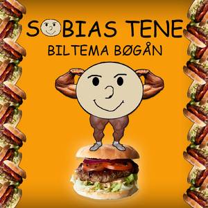 Biltema Bøgån