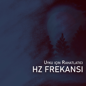 8-12,5 Hz Alfa Dalgaları