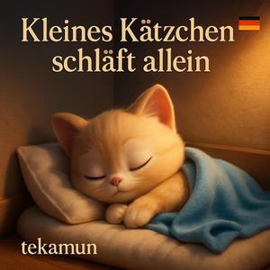 Kleines Kätzchen Schläft Allein