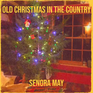 Old Christmas in the Country