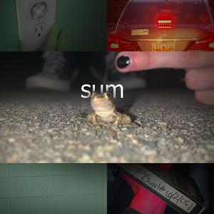 i like this song the least out of the whole album but some people thought it was decent so i added it last minute