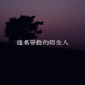 连名带姓的陌生人