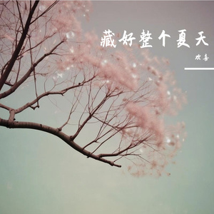 藏好整个夏天