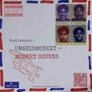 Monkey