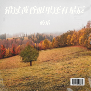 错过黄昏眼里还有星辰