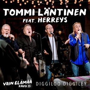Diggiloo Diggiley (Vain elämää kausi 13)
