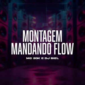 Montagem Mandando Flow (Slowed)