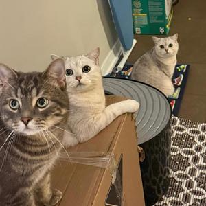 Instrumental #1 (I have an ugly smile but it made her heart happy so I haven't stopped smiling since)