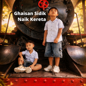 Naik Kereta