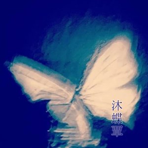 月光信使的独白