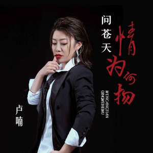 问苍天情为何物 (DJ版)