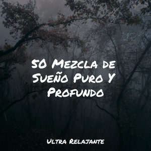 Meditación De Marea Lapeante