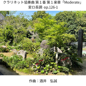 クラリネット協奏曲 第１番 第１楽章 変ロ長調 op.126-1