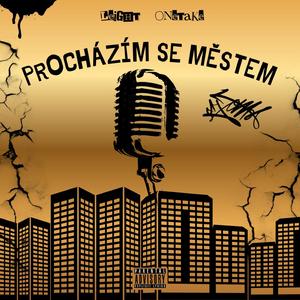 Procházím se městem