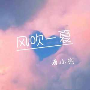 风吹一夏 （cover：DP龙猪）