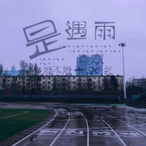 是遇雨