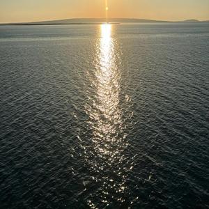 Kämpfer
