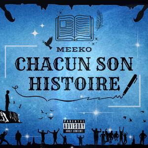 Chacun son histoire