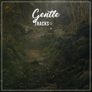 Flowing Mountain River