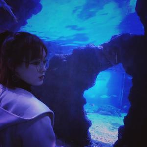 愿一天有人这样唱给我